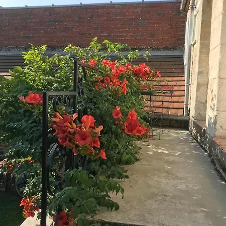 Domaine Saint-martin D *