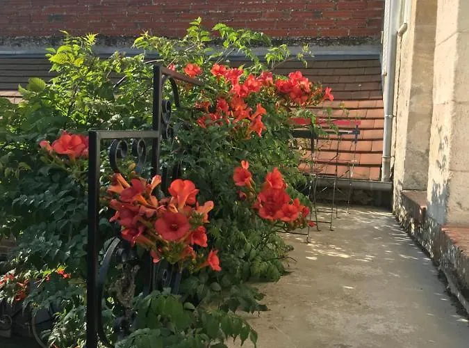 Domaine Saint-martin D *